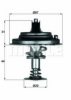 BEHR TX 26 80D Thermostat, coolant